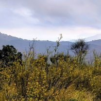 Photo 7 of the Bikemap route "17 Roses Vilajuïga Coll-de-la-Serra Guanter Patiràs Coll-de-les-Portes Ermita-de-Sant-Silvestre Valleta Vilajuïga Vilaüt"
