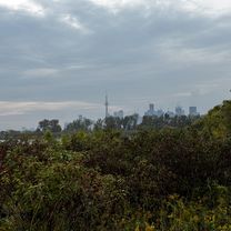 Photo 8 de l’itinéraire Bikemap « Grenville St, Toronto to St Vincent Ln, Toronto »