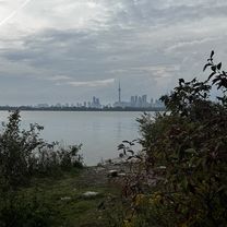 Grenville St, Toronto to St Vincent Ln, Toronto