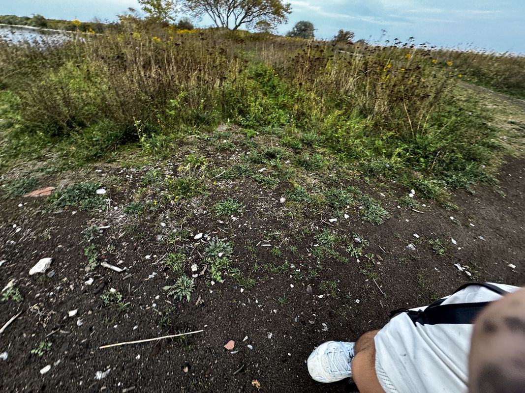 Grenville St, Toronto to St Vincent Ln, Toronto