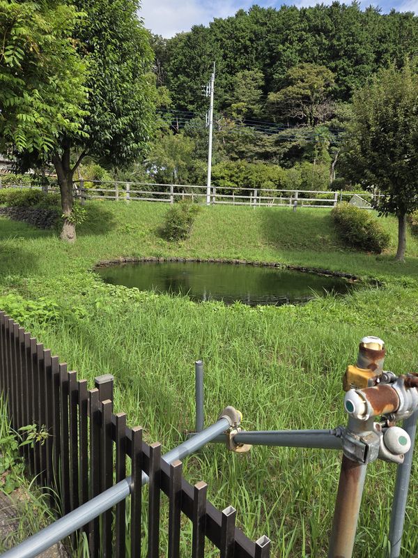 鶴見川源流の泉
