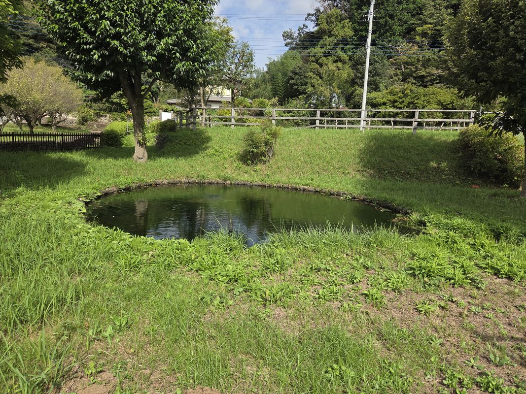 鶴見川源流の泉