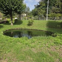 鶴見川源流の泉