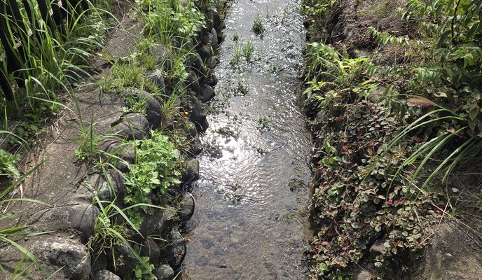 Photo 2 de l’itinéraire Bikemap « 鶴見川源流の泉 »