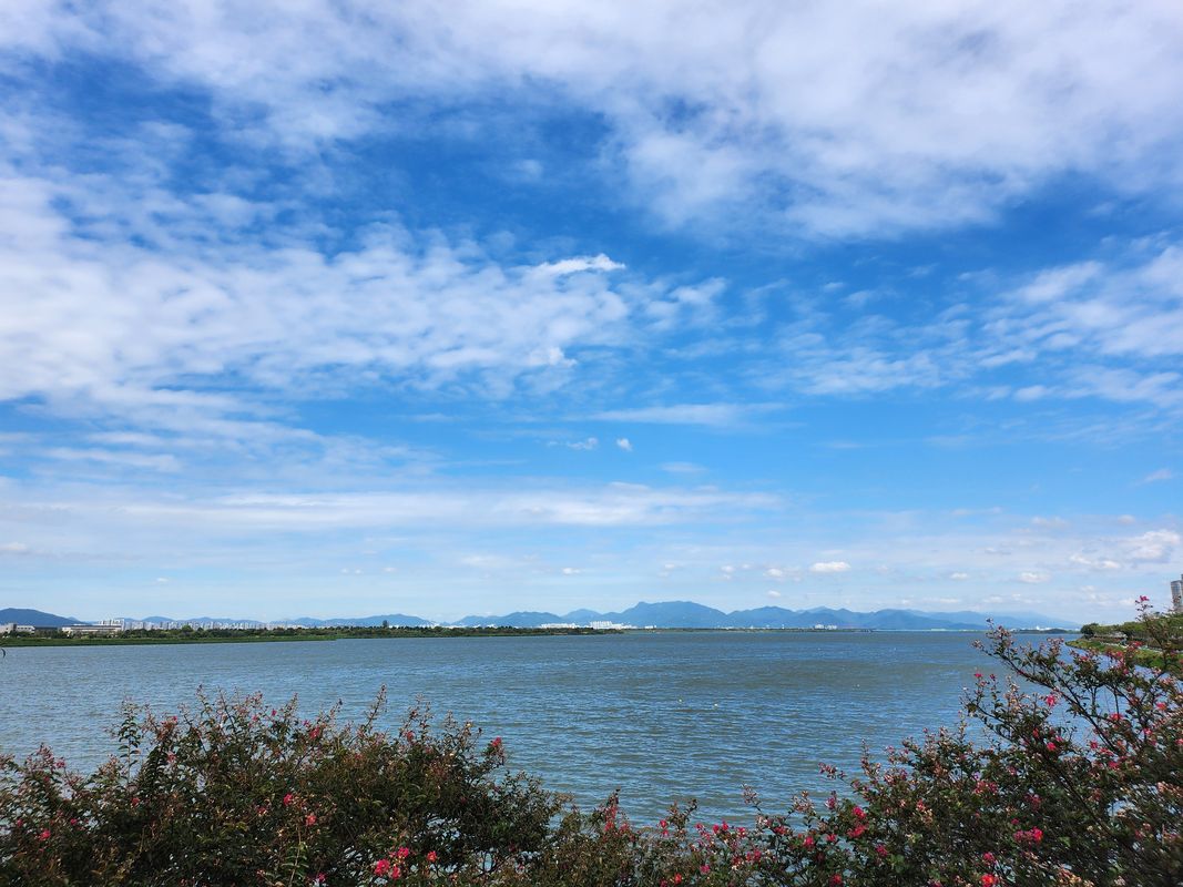 λ¬ΌκΈμ 911-1 ~ λ¬ΌκΈμ