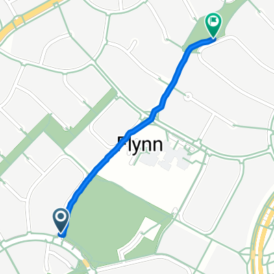 Companion Cr, Flynn to Willyama Pl, Flynn