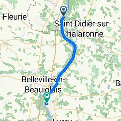 Saint-Didier-sur-Chalaronne to Chemin Vert, Montmerle-sur-Saône