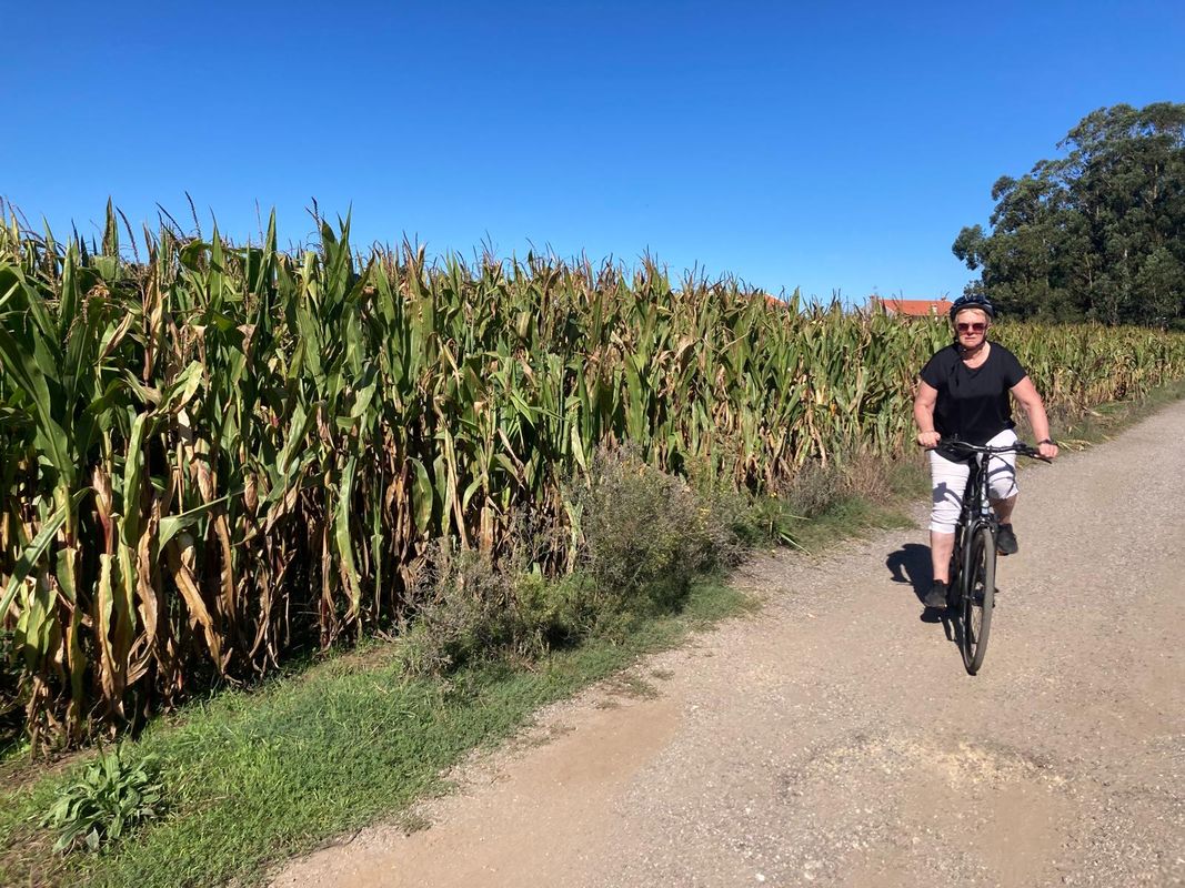 Praça da República to Largo Vasco da Gama