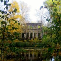 улица 8 Марта, Ярославль до Петропавловский Парк, Ярославль