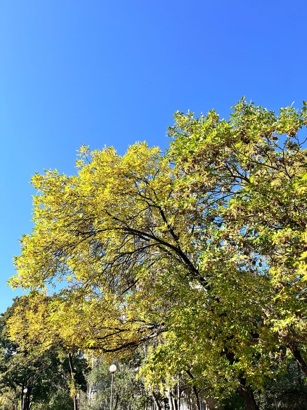 53.981, 27.012 to 53.908, 27.364