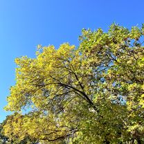 53.981, 27.012 to 53.908, 27.364