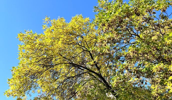 Photo 1 de l’itinéraire Bikemap « 53.981, 27.012 to 53.908, 27.364 »