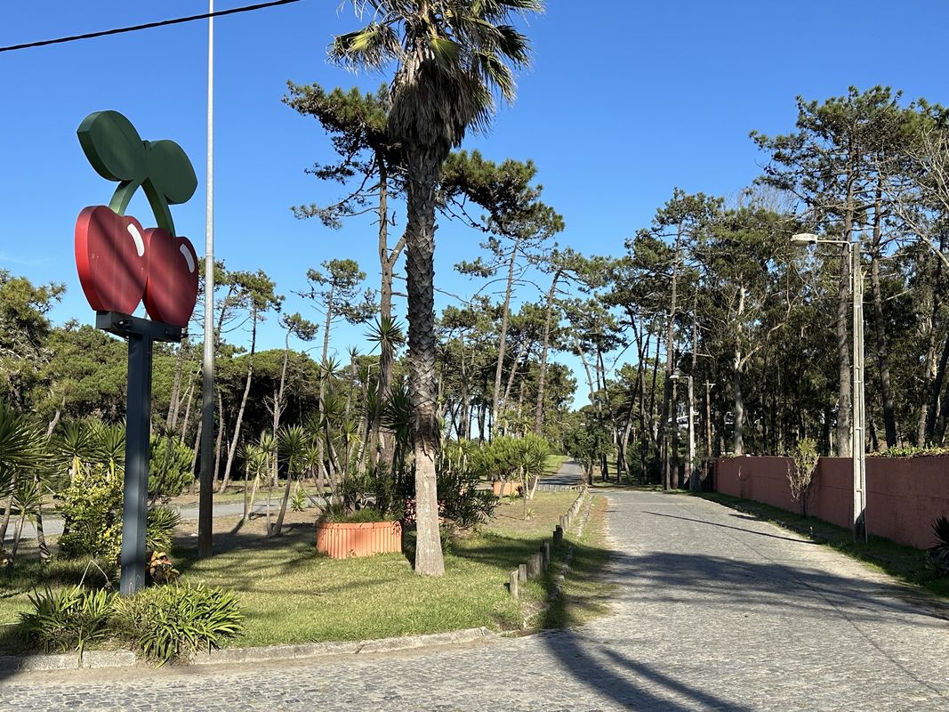 Camino Português- Day 3 (Rua do Lidador, Vila do Conde to Urbanização Lirissol, Fão)