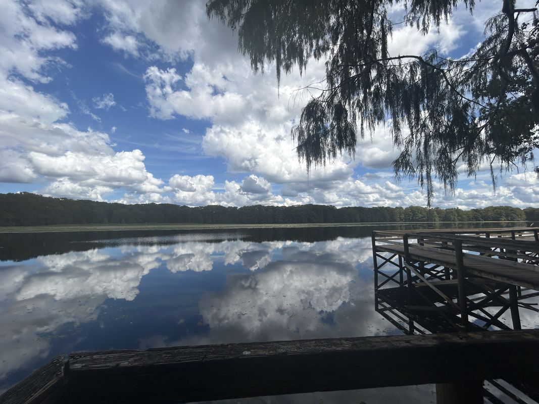 Lake Lindsey Rd, Brooksville to Croom Rital Rd, Brooksville