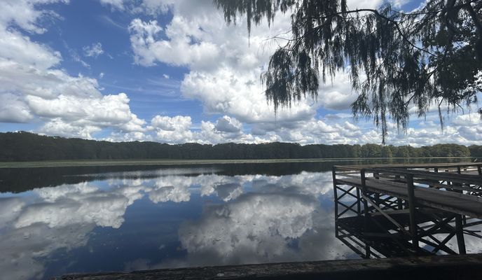 Foto 1 de la ruta de Bikemap "Lake Lindsey Rd, Brooksville to Croom Rital Rd, Brooksville"