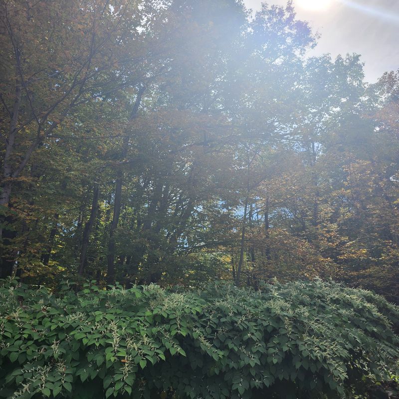 De Route de l'Aéroport à Route de l'Aéroport