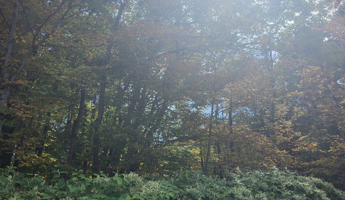 Foto 1 de la ruta de Bikemap "De Route de l'Aéroport à Route de l'Aéroport" Foto 1 de la ruta de Bikemap "De Route de l'Aéroport à Route de l'Aéroport"