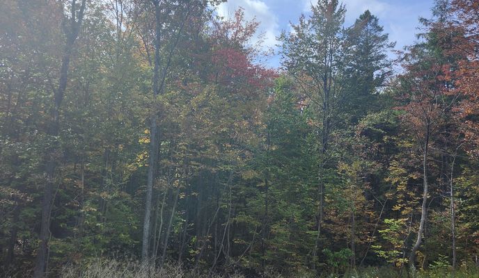 Foto 2 de la ruta de Bikemap "De Route de l'Aéroport à Route de l'Aéroport" Foto 2 de la ruta de Bikemap "De Route de l'Aéroport à Route de l'Aéroport"