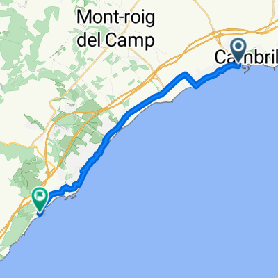 Carrer de Robert Gerhard to Vial Camino