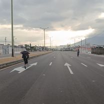 Ruta paro