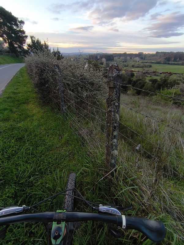 Ruta de descanso
