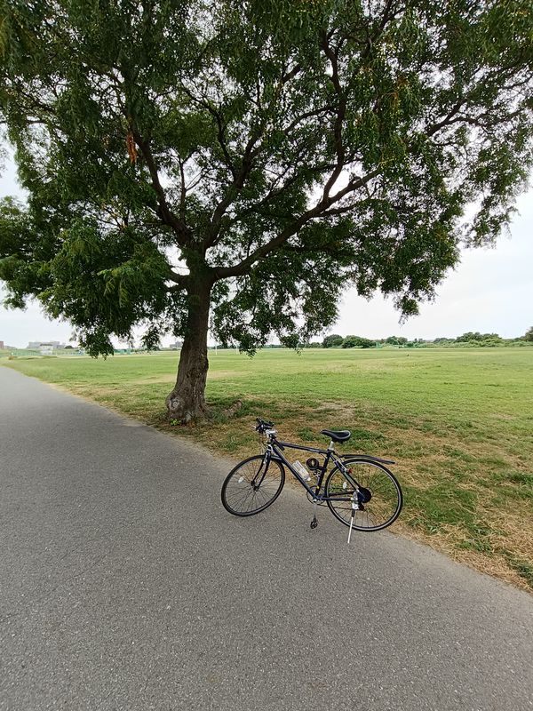 小金川 まで2丁目