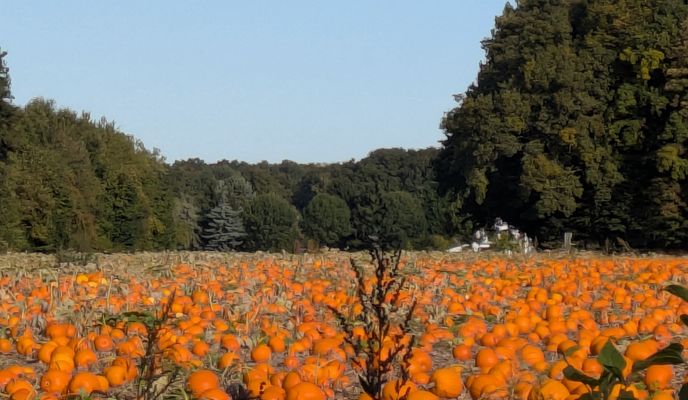 Foto 1 der Bikemap-Route "Pleckenbrinksee" Foto 1 der Bikemap-Route "Pleckenbrinksee"