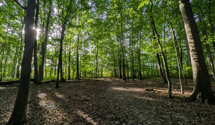 Foto 2 der Bikemap-Route "Pleckenbrinksee" Foto 2 der Bikemap-Route "Pleckenbrinksee"