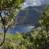 D 81, Calenzana à Piana