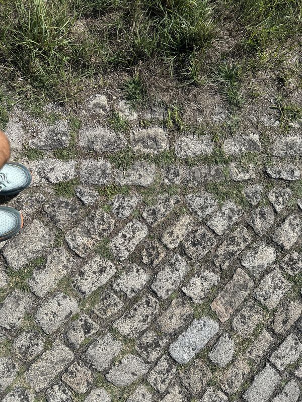 Camino Português - Day 4 | Fão to Amorosa