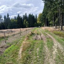 25.09.25 Radebachtal, Kühhude, Pferrdschuß, Truftetal, Berghausen, BLB