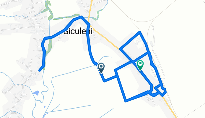 Siculeni to DN12, Siculeni