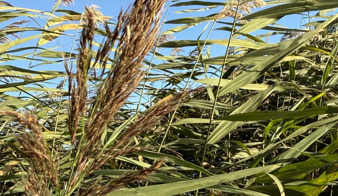 Foto 2 de la ruta de Bikemap "pod Urwiskiem, Szczecin do pod Urwiskiem, Szczecin"