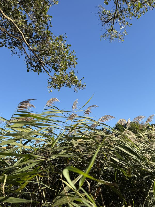 pod Urwiskiem, Szczecin do pod Urwiskiem, Szczecin