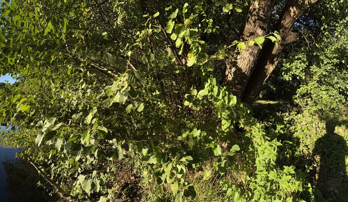 Foto 1 de la ruta de Bikemap "pod Urwiskiem, Szczecin do pod Urwiskiem, Szczecin"