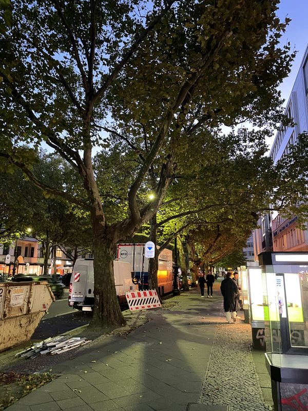 Bleibtreustraße, Berlin nach Bleibtreustraße, Berlin