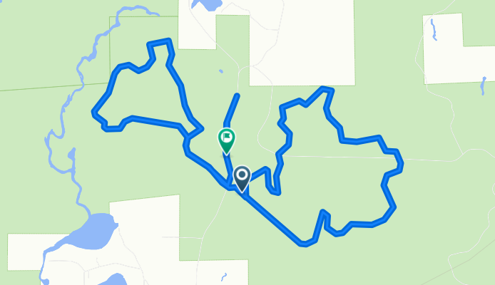 10 mile run (5 min of break)