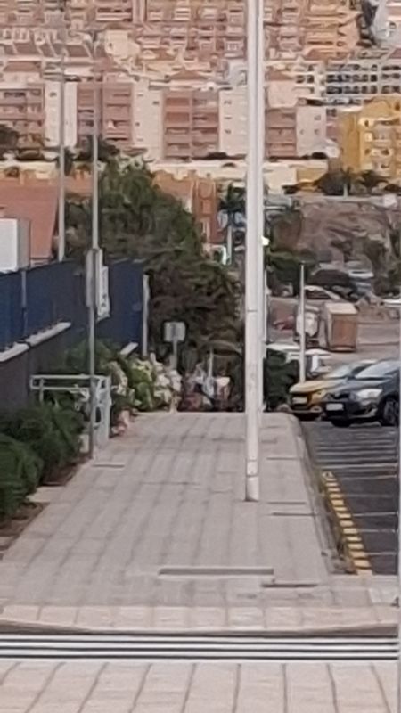 От Plaza Pescador до Calle Eucaliptus