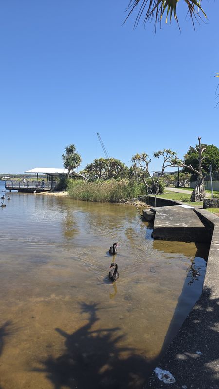 Harbour Parade to Harbour Parade
