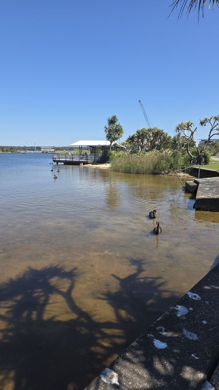 Harbour Parade to Harbour Parade