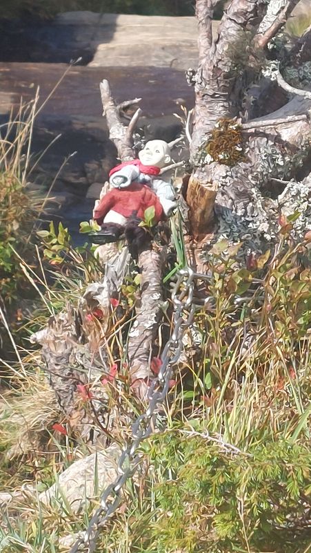 Freiåsen nach Freiåsen