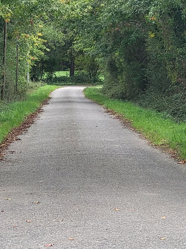 Savenay nach La Chapelle sur Erdre