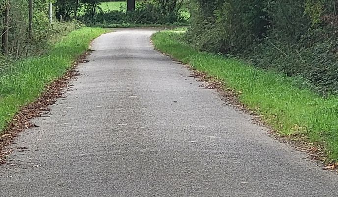Zdjęcie 1 trasy Bikemap „Savenay nach La Chapelle sur Erdre”