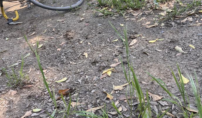 Foto 2 der Bikemap-Route "Ruta K-625, Maule a 13 1/2 Sur, Talca"