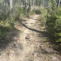 Croom Rital Rd, Brooksville to Croom Rital Rd, Brooksville