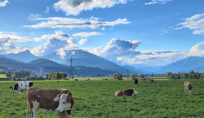 Zdjęcie 1 trasy Bikemap „2. Tag Steinfeld - Feistritz”