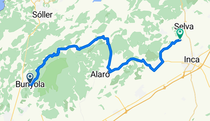 Bunyola - Selva