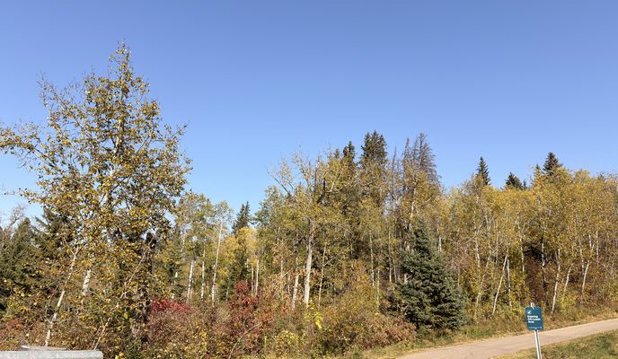 Foto 1 del percorso Bikemap "Windermere Blvd SW, Edmonton to 90 Ave NW, Edmonton"