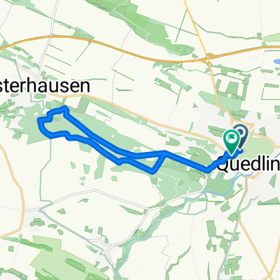 Quedlinburg Laufen 14km