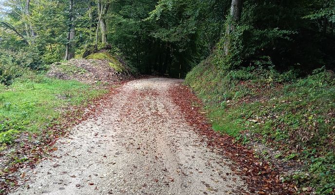 Photo 1 of the Bikemap route "Da Via Papa Luciani a Via Papa Luciani"